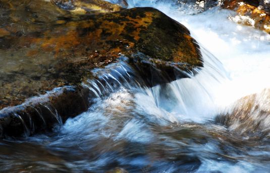 Marsh Amber Light closeup