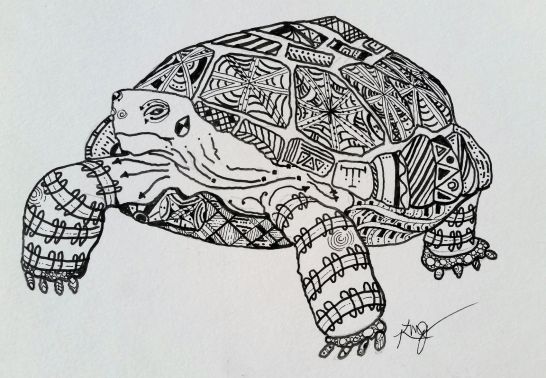 Anasazi Desert Tortoise