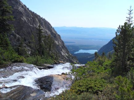 Taggart from Taminah